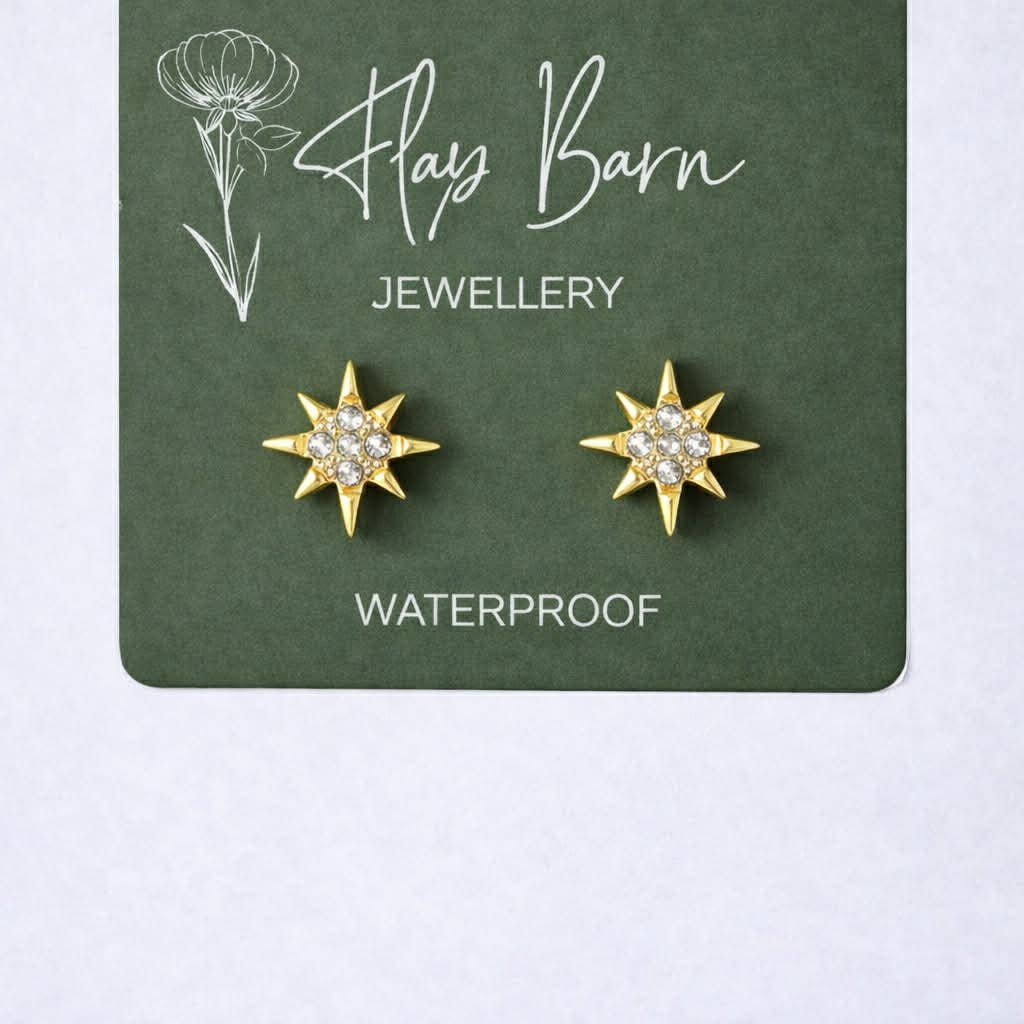 Tarnish Resistant Starburst Studs