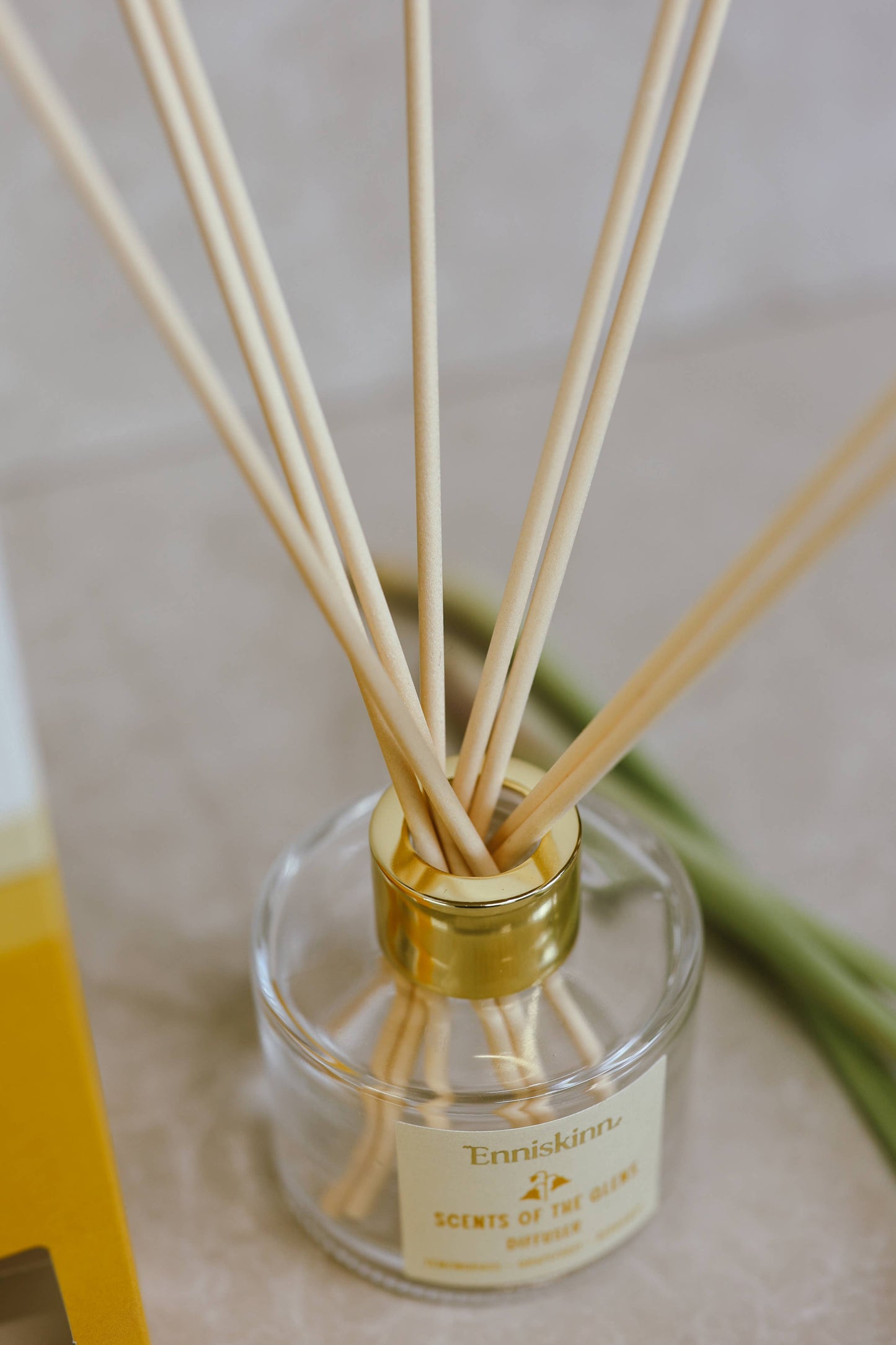 Scents of the Glens - Lemongrass, Grapefruit -Reed Diffuser 