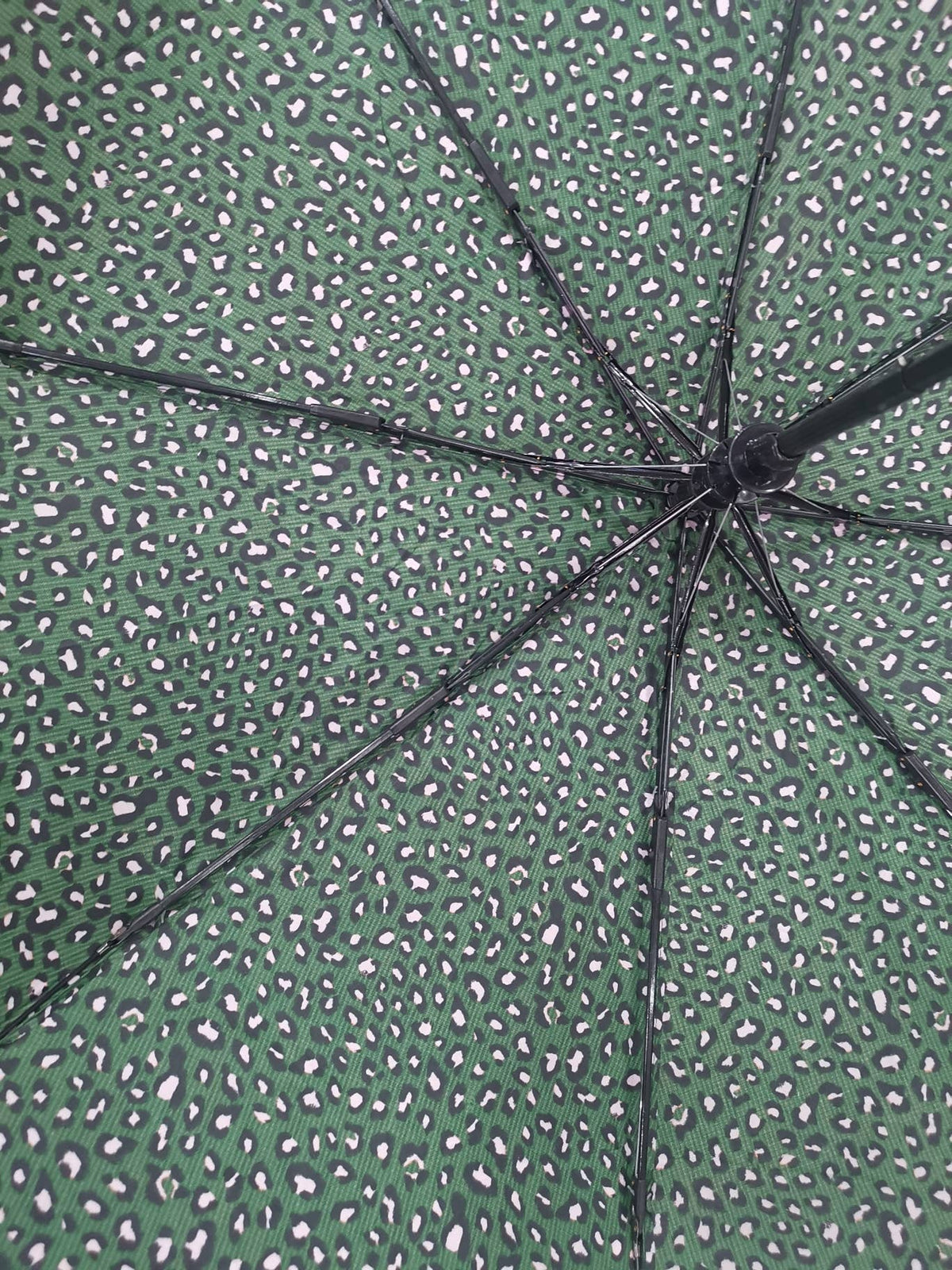 Animal Print Umbrella