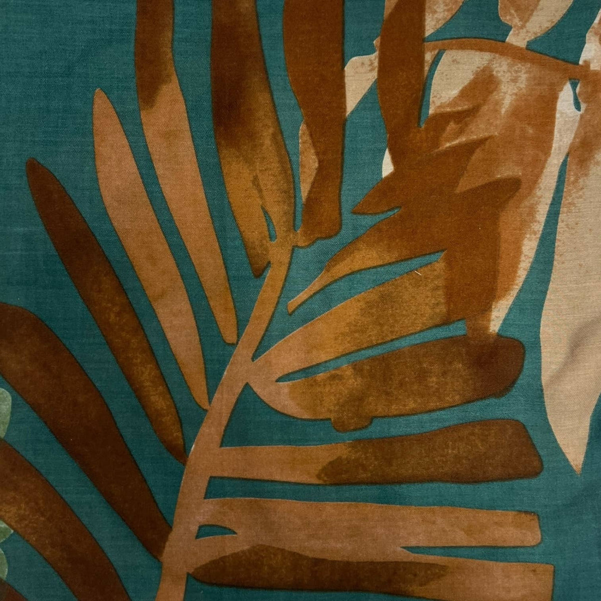 Amazon leaves